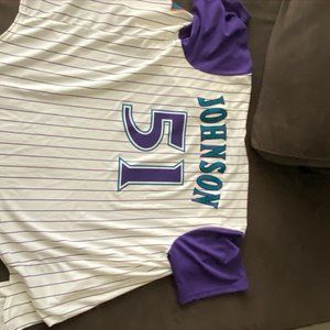Classic Randy Johnson Arizona Diamondbacks Nike